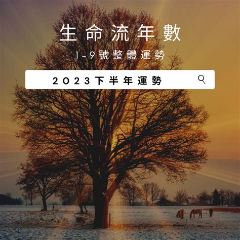 2023生命靈數流年5|V生命靈數／ 2023下半年【整體運勢】分析&生命流年。